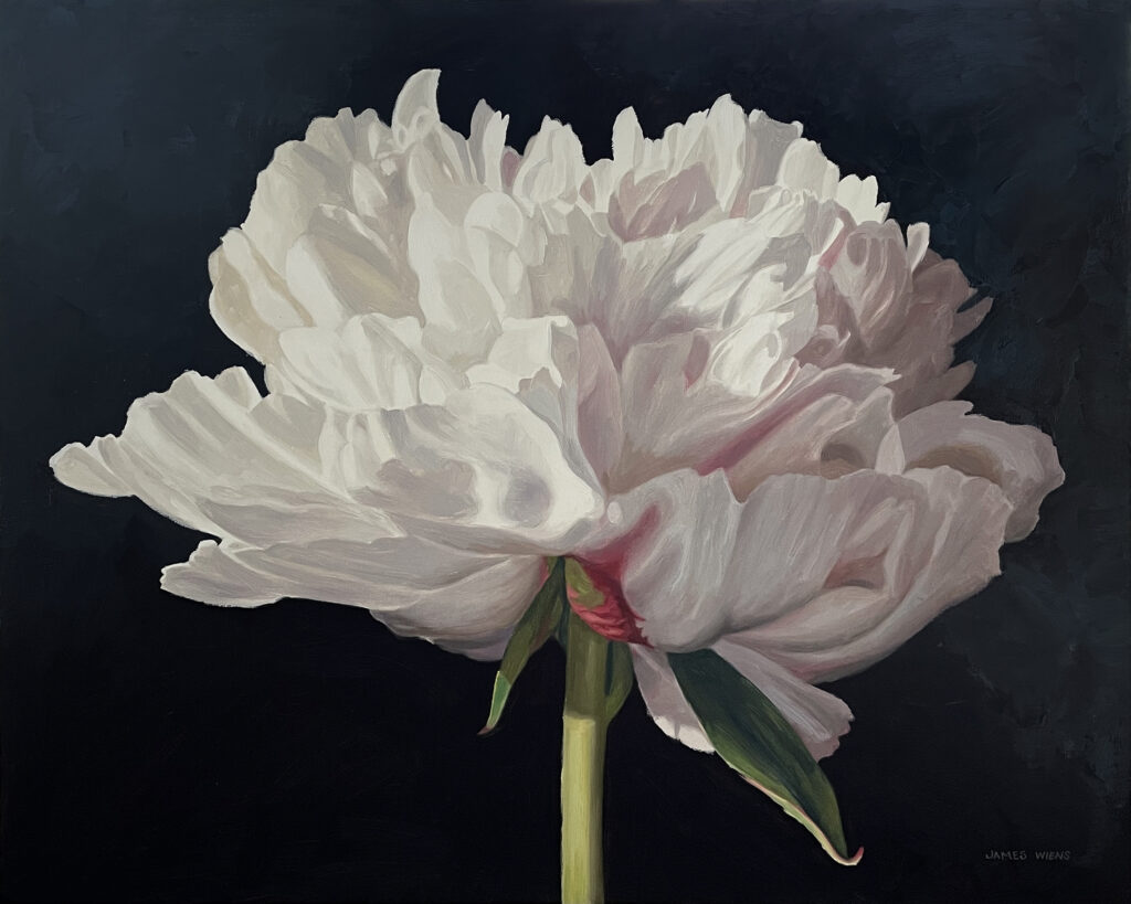 SOLD - Peony in Light